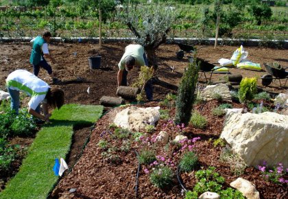 Landscaping