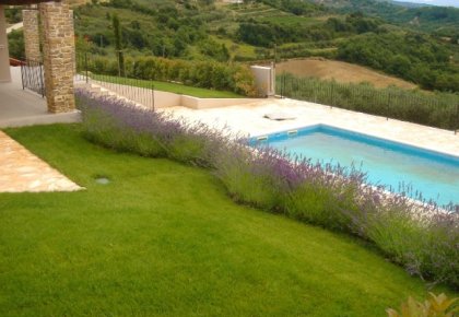 Landscaping