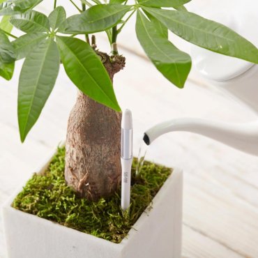NEW! Sustee - plant moisture meter