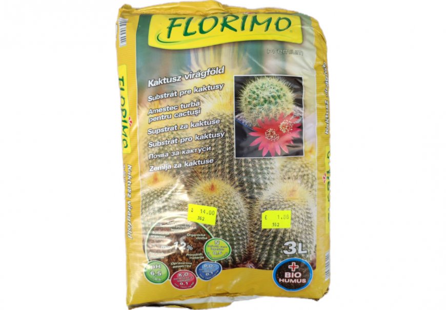 FLORIMO - Kaktus