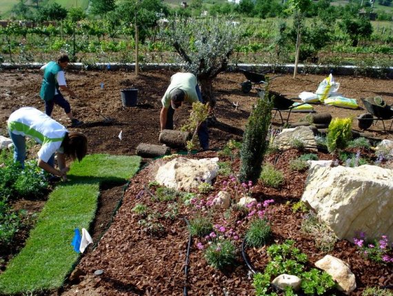 Installation of grass carpets