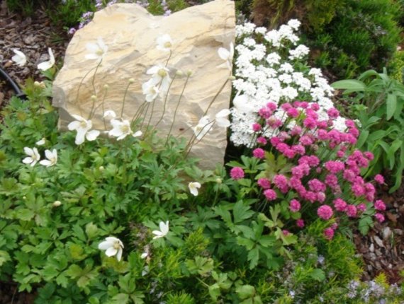 Garden in Gradinje
