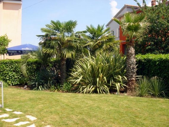 Garden in Umag