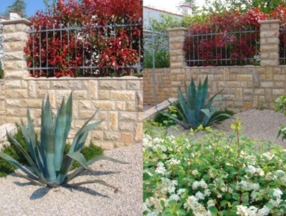 Garden in Mareda