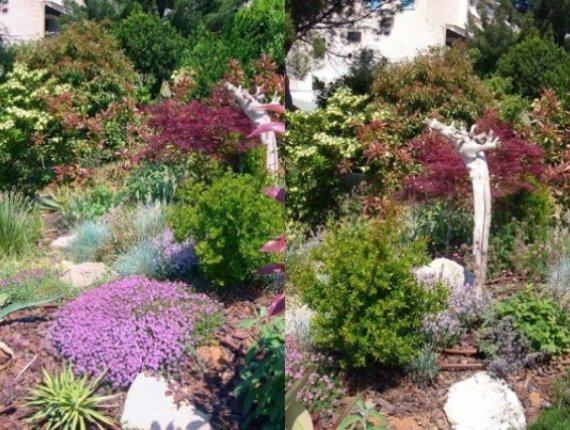Garden in Mareda