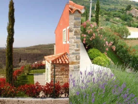 Garden in Momjan