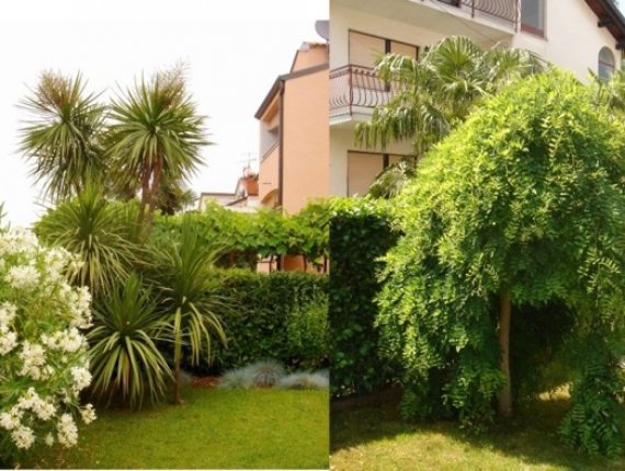 Garden in Umag