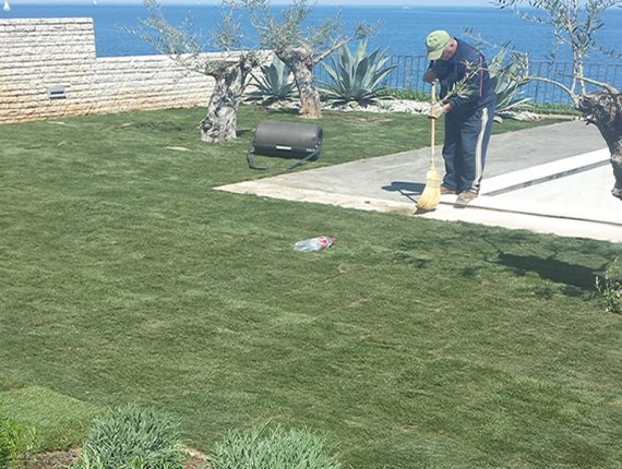 Installation of grass carpets