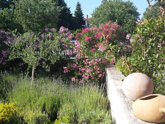 A typical Mediterranean garden, Pula